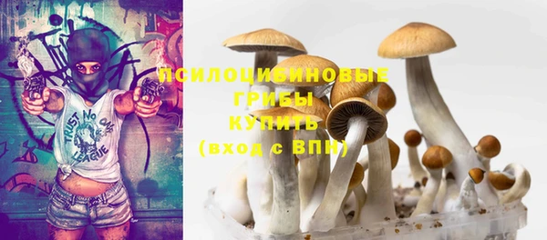 2c-b Вяземский