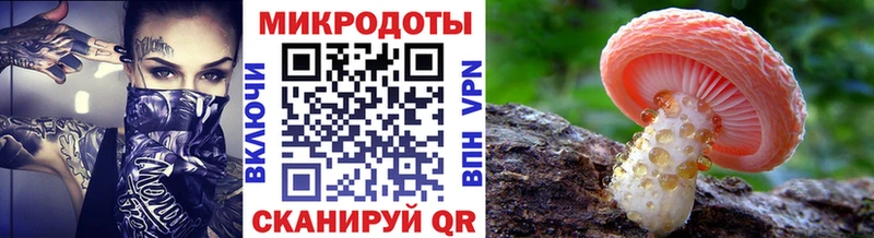 где купить наркоту Прокопьевск hydra как войти Псилоцибиновые грибы MAGIC MUSHROOMS