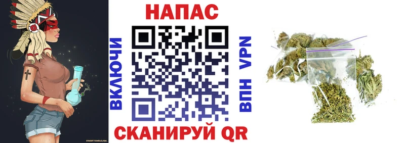 Бошки марихуана конопля  Прокопьевск 